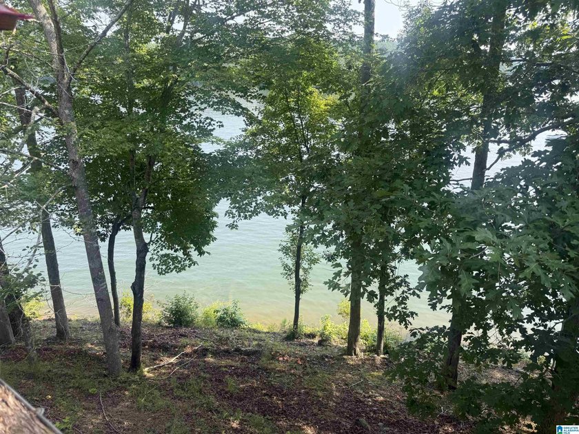 Welcome to your Lake Wedowee getaway in Big River RV Campground! - photo 5
