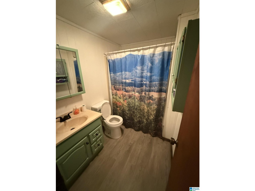 Welcome home to this 3 bedroom 2 bath home nestled off of - photo 7