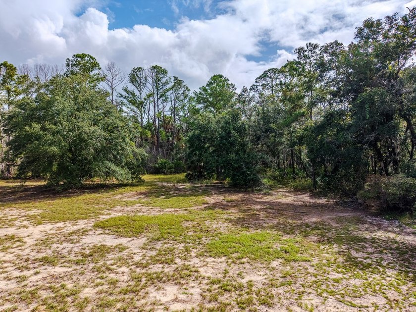 Charming old Florida cracker-style home on 4.2 acres in - photo 11