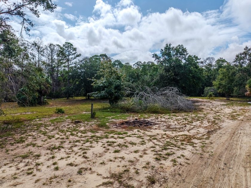 Charming old Florida cracker-style home on 4.2 acres in - photo 12