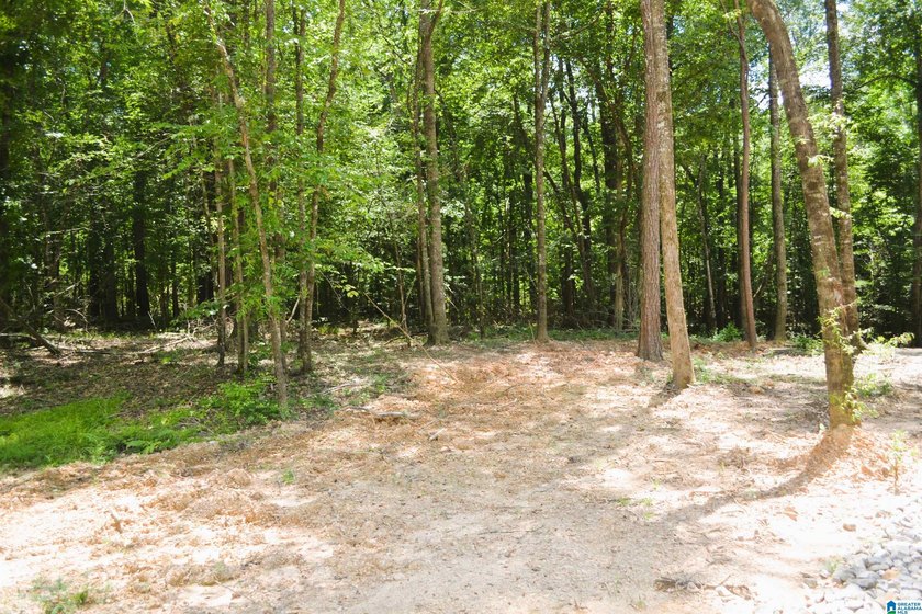 Approximately 3 acres on the North River in The Retreat at - photo 2