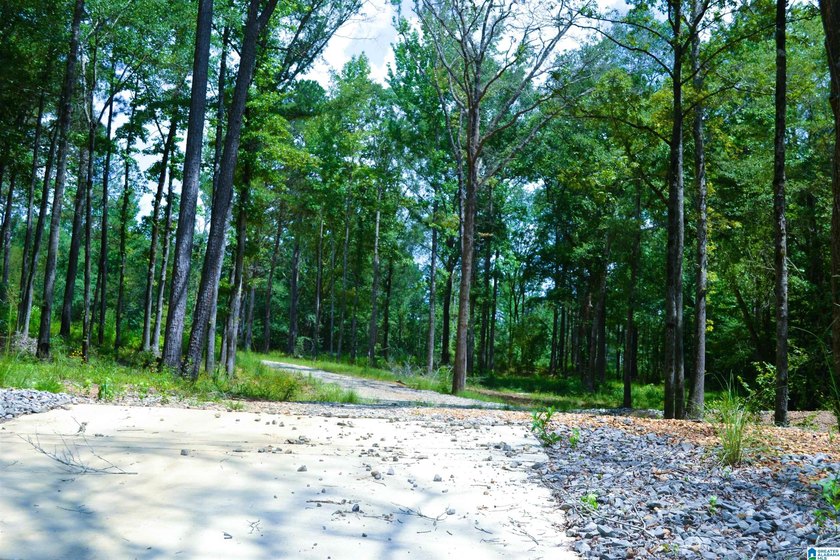 Approximately 3 acres on the North River in The Retreat at - photo 8