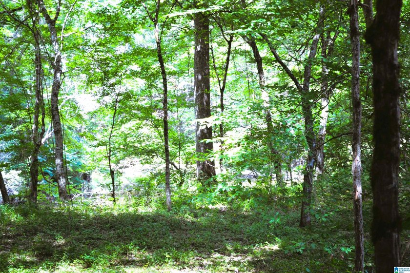 Approximately 3 acres on the North River in The Retreat at - photo 9
