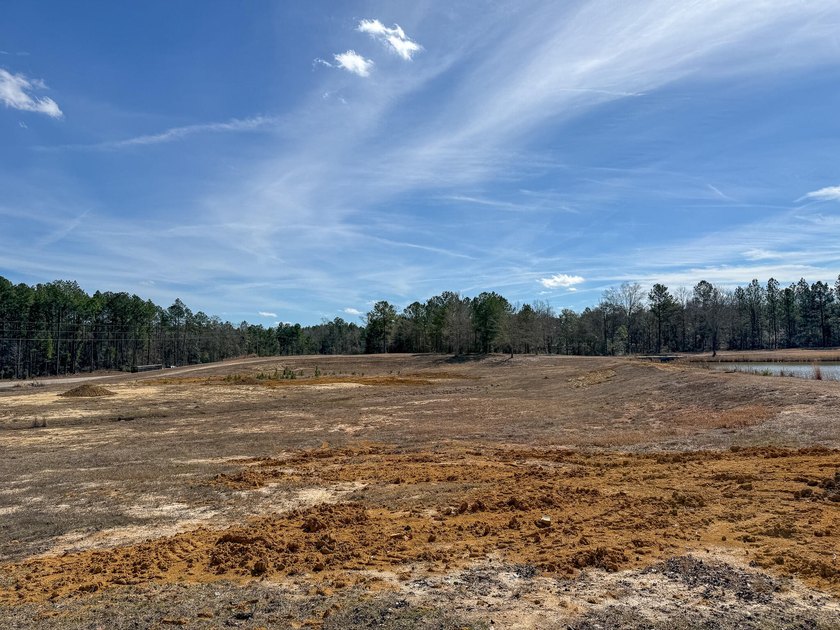 25.7+/- acres located along US Highway 49 South in - photo 12