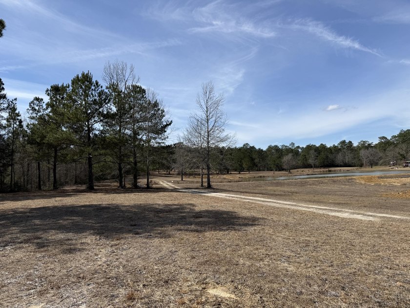 25.7+/- acres located along US Highway 49 South in - photo 13
