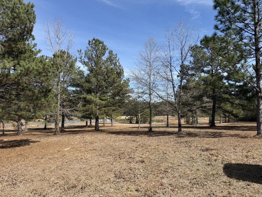 25.7+/- acres located along US Highway 49 South in - photo 16
