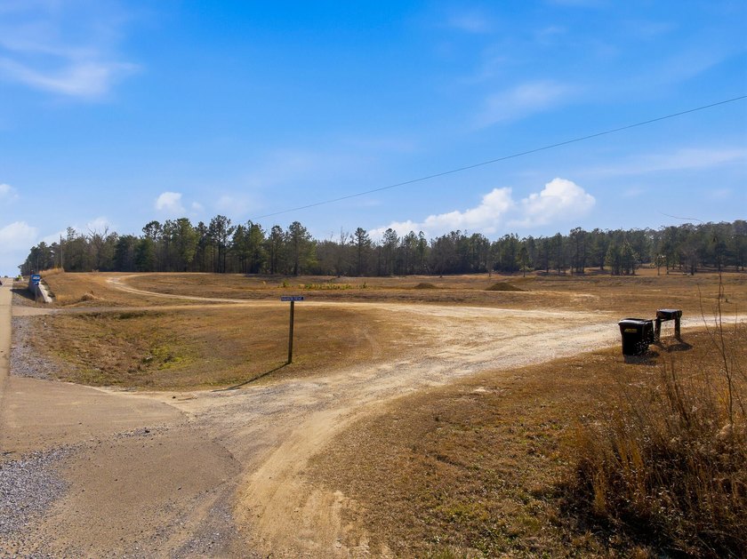25.7+/- acres located along US Highway 49 South in - photo 17