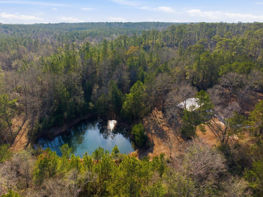 25.7+/- acres located along US Highway 49 South in - photo 19