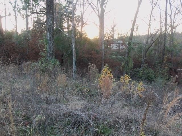 FLOREY LAKE IS A PRIVATE LAKE EAST OF KILGORE. TWO LOTS WITH - photo 3