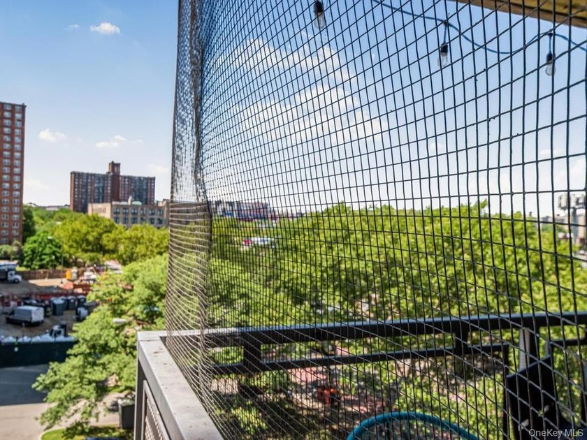 Great Opportunity to own this gorgeous 2 Bedroom 1 Bath co op - photo 12