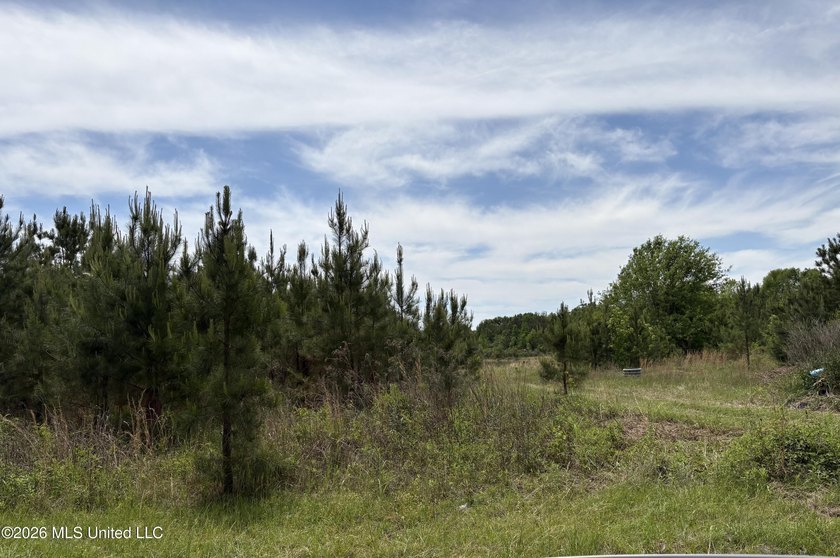15.45 Acres in Madison County, MS. Great residential development - photo 4