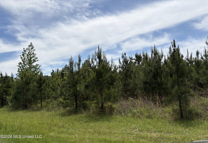 15.45 Acres in Madison County, MS. Great residential development - photo 5