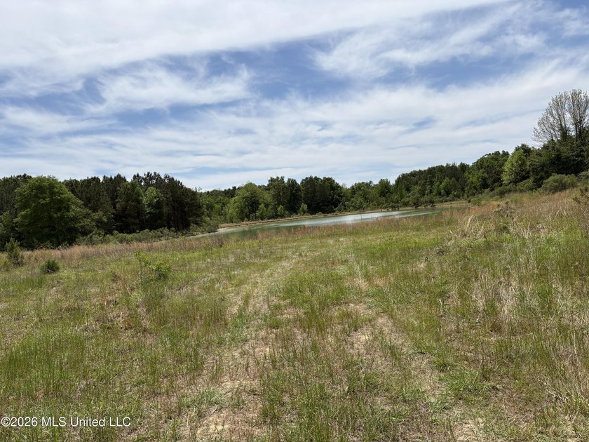 15.45 Acres in Madison County, MS. Great residential development - photo 6