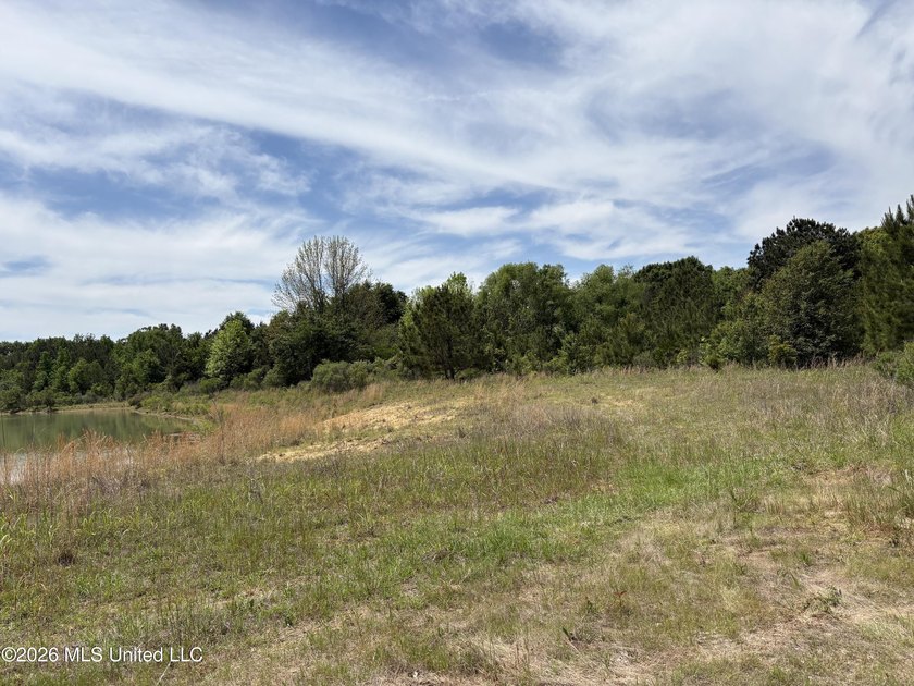 15.45 Acres in Madison County, MS. Great residential development - photo 7