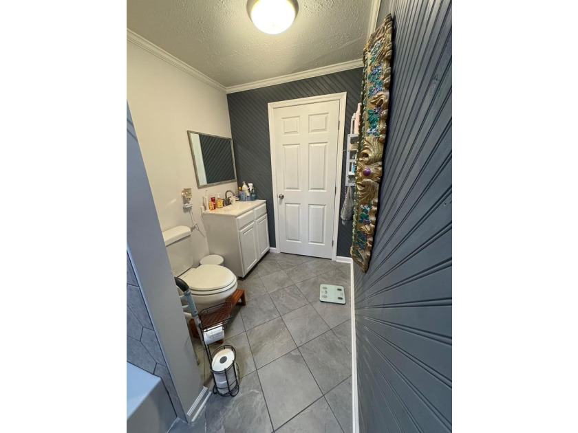 This 3/2 SWGA home is centrally located 10 miles south of - photo 11