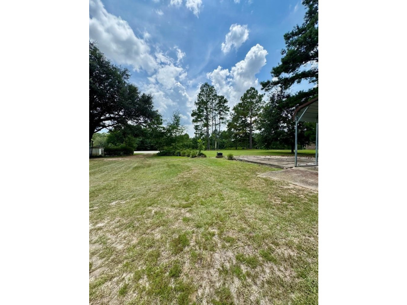 This 3/2 SWGA home is centrally located 10 miles south of - photo 34