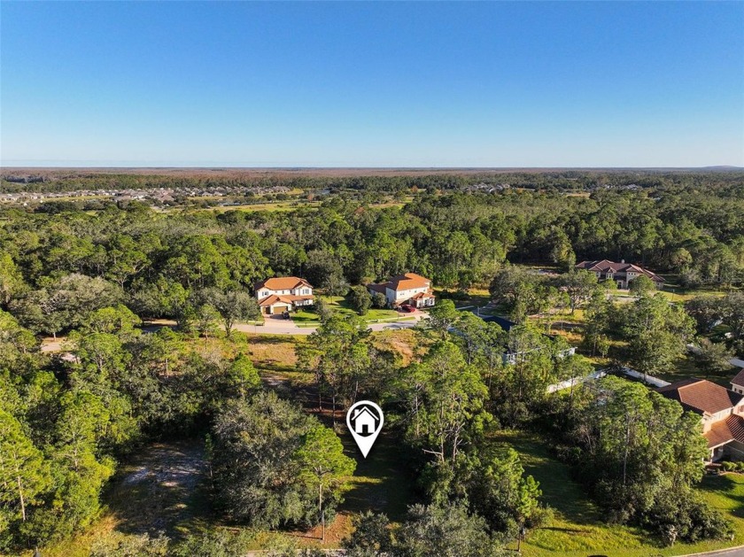Ready to build your dream home? You have the perfect lot in - photo 22