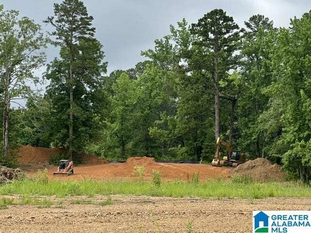Most Beautiful Lot with view of neighborhood pond. Super large - photo 7