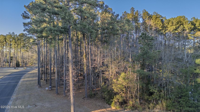 Your 2.4-acre homesite just is just minutes from the ocean -- - photo 3