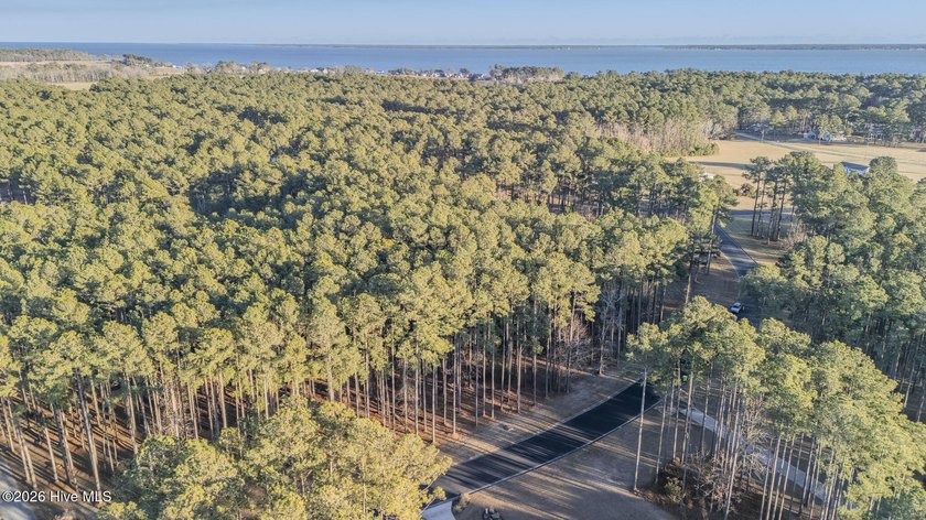 Your 2.4-acre homesite just is just minutes from the ocean -- - photo 4