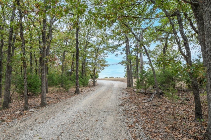 Have you ever dreamed of owning a completely private lakefront - photo 51