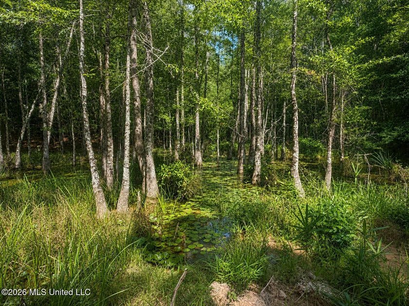 4.4+/- Acres | South Greene County | Vernal Community Beautiful - photo 13