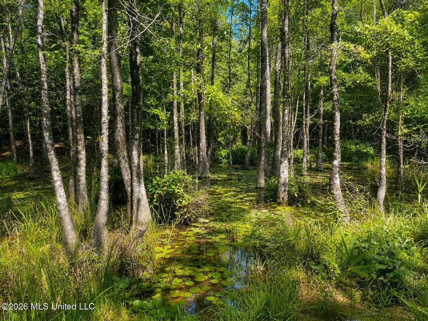 4.4+/- Acres | South Greene County | Vernal Community Beautiful - photo 14
