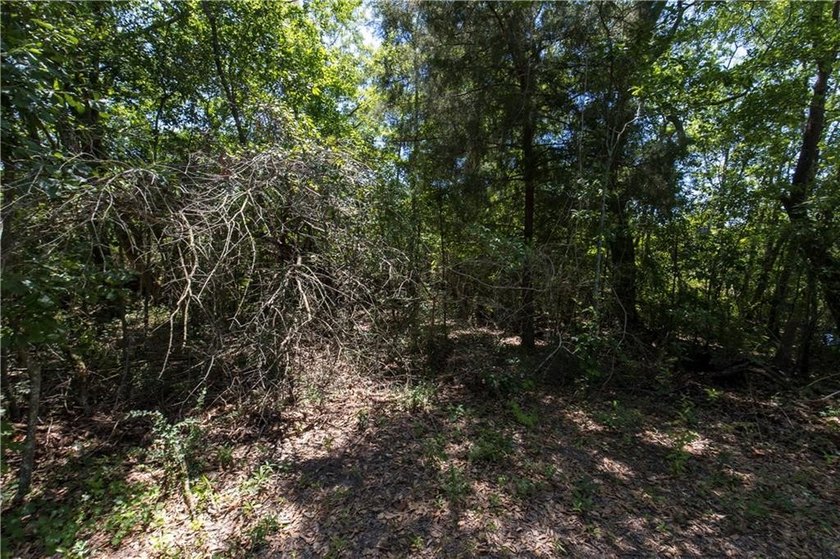 Looking for that spot with ample privacy and a waterfront view - photo 44