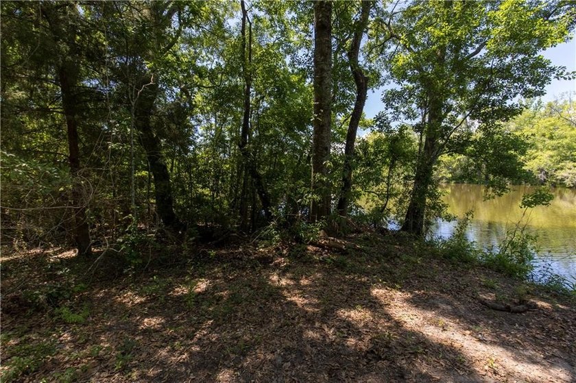 Looking for that spot with ample privacy and a waterfront view - photo 45