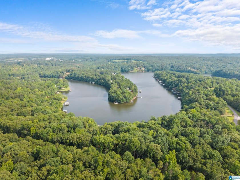 LAKEFRONT HOME FOR SALE - TURNKEY &amp; FULLY FURNISHED Rare - photo 5