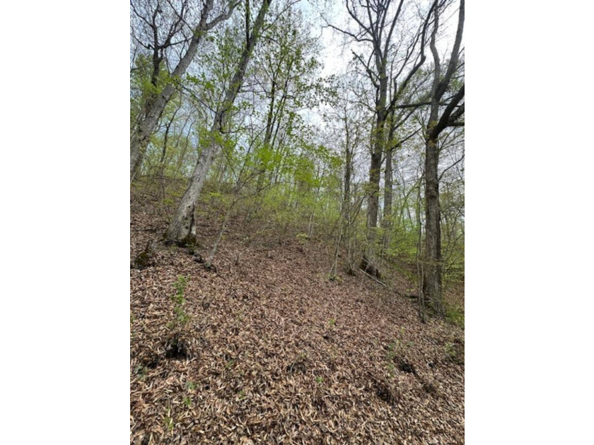 REDUCED: TAKE A LOOK AT THIS STEAL OF A DEAL...ATT: HUNTERS-$79 - photo 13