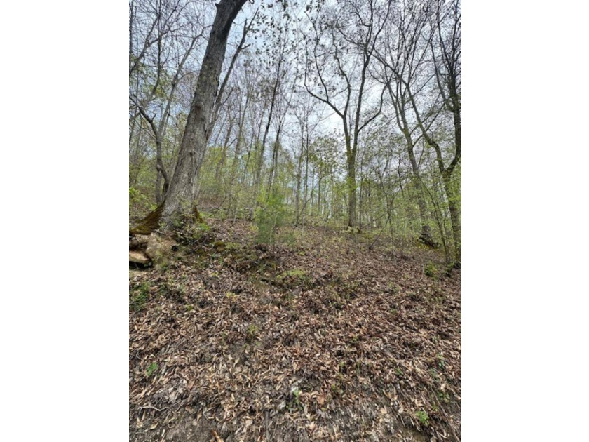 REDUCED: TAKE A LOOK AT THIS STEAL OF A DEAL...ATT: HUNTERS-$79 - photo 15