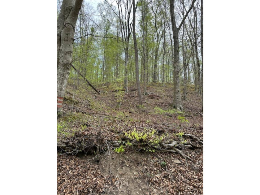 REDUCED: TAKE A LOOK AT THIS STEAL OF A DEAL...ATT: HUNTERS-$79 - photo 16