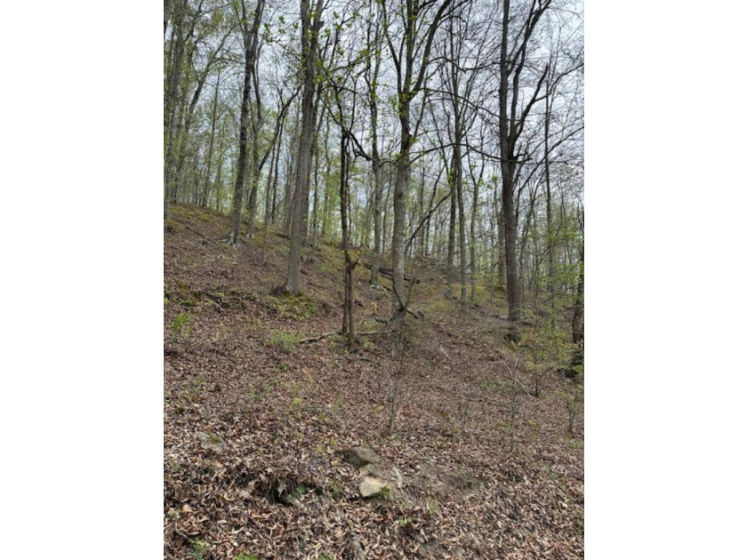 REDUCED: TAKE A LOOK AT THIS STEAL OF A DEAL...ATT: HUNTERS-$79 - photo 17