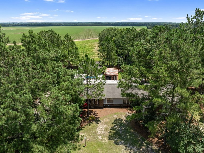 Welcome to 3825 Plantation Lane, Camilla, GA-a one-of-a-kind - photo 38
