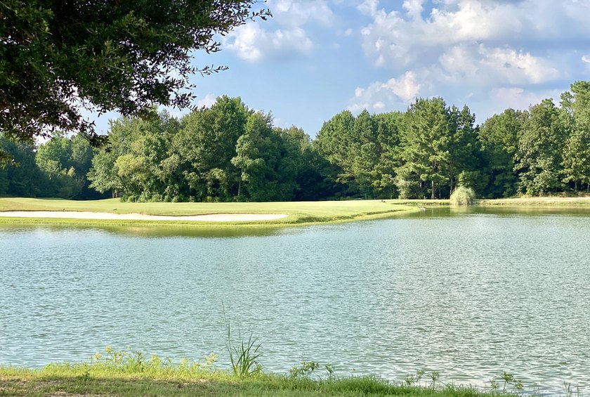 BUILD YOUR DREAM HOUSE in the gorgeous SHADOW RIDGE Golf - photo 13