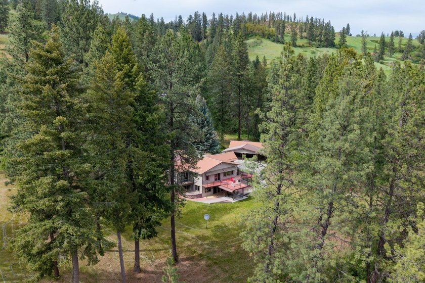 Peace and tranquility, lake life! Wildlife abounds w/13+ acres - photo 45