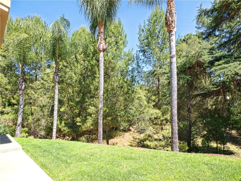 Located on one of the most prestigious streets in the Miraleste - photo 48