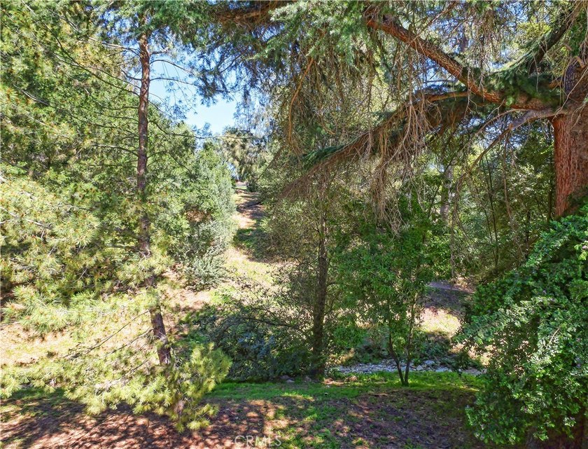Located on one of the most prestigious streets in the Miraleste - photo 50