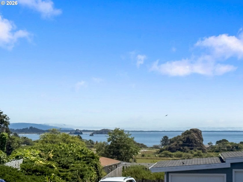 This spacious home in the desirable Camellia Park, a 55-and-over - photo 2