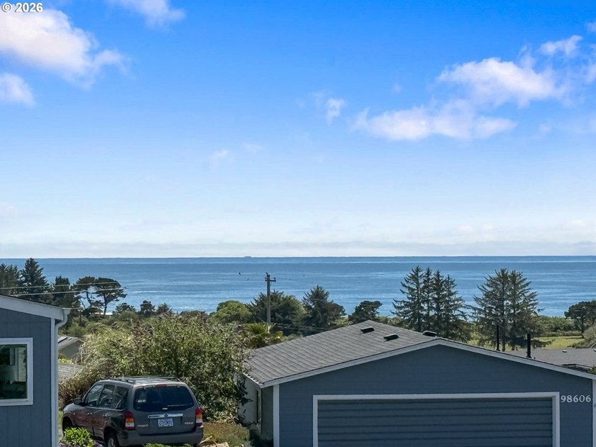 This spacious home in the desirable Camellia Park, a 55-and-over - photo 3