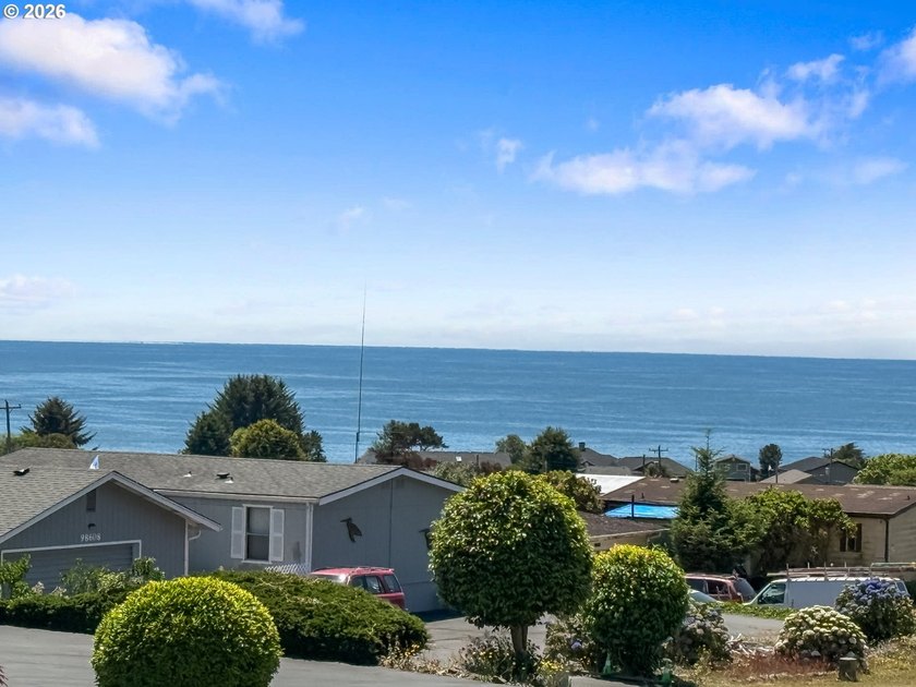 This spacious home in the desirable Camellia Park, a 55-and-over - photo 4