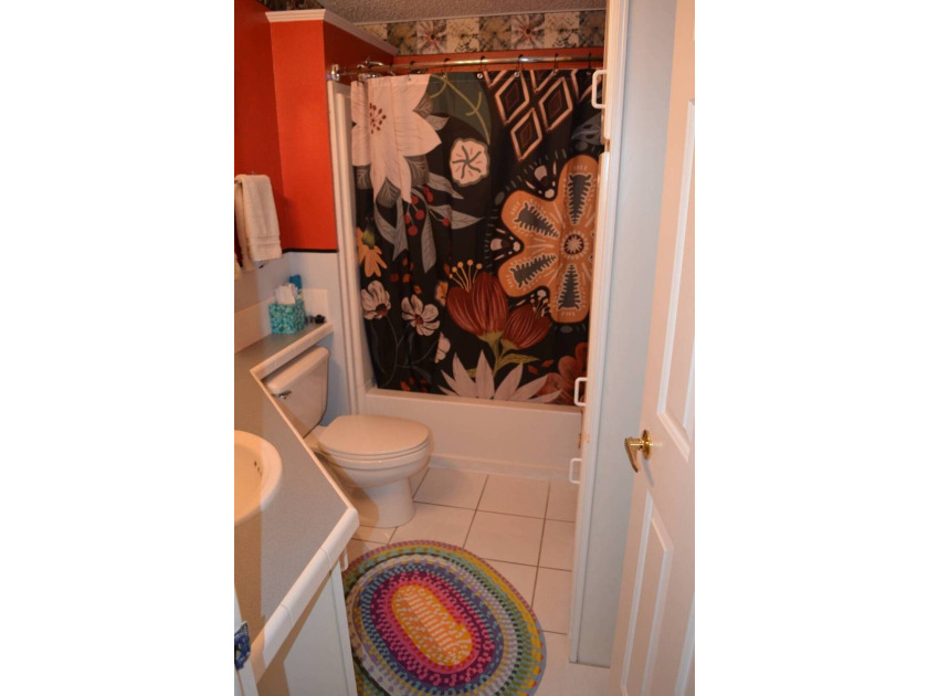 Seller is offering a $3,000 credit at closing for cosmetic - photo 23