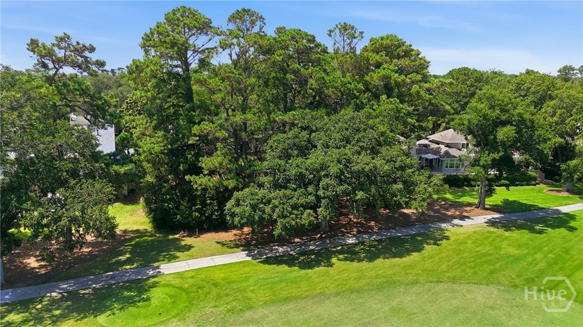 Unparalleled panoramic vistas await on this rare, buildable lot - photo 2