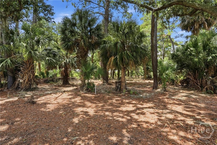 Unparalleled panoramic vistas await on this rare, buildable lot - photo 6