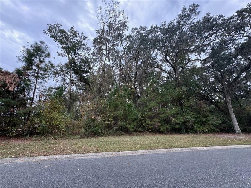 Towering oak trees set the stage for this beautiful homesite - photo 3