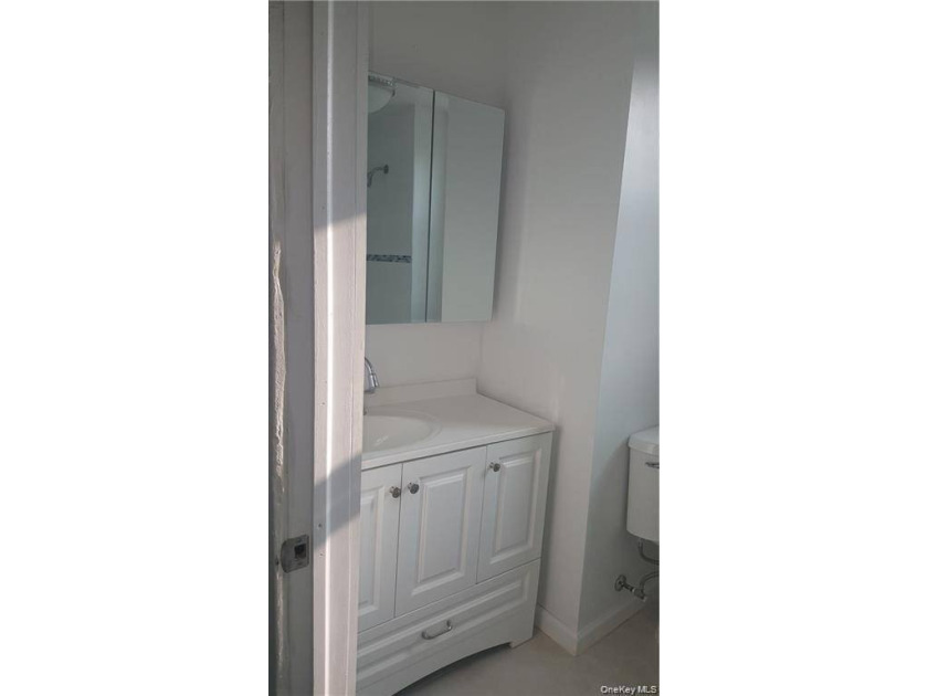 Large three family investment property. Two of the units are - photo 7