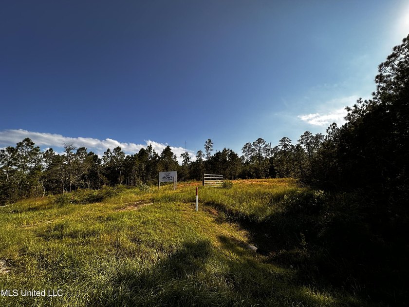 6054 Acres on busy HWY 603. 17,000 cars pass this location - photo 4