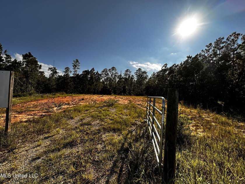 6054 Acres on busy HWY 603. 17,000 cars pass this location - photo 6