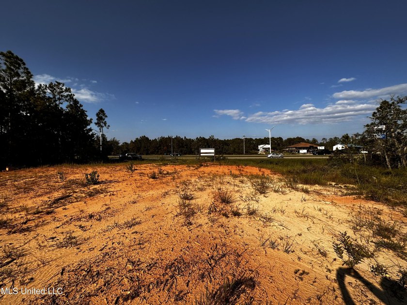 6054 Acres on busy HWY 603. 17,000 cars pass this location - photo 10